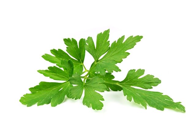 parsley leaves 3327372 640 - 12 ch&aacute;s para desinchar - de forma r&aacute;pida e saud&aacute;vel